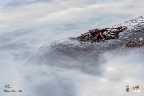 arai alonso melian l