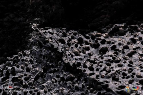 daniel nbrega siverio l