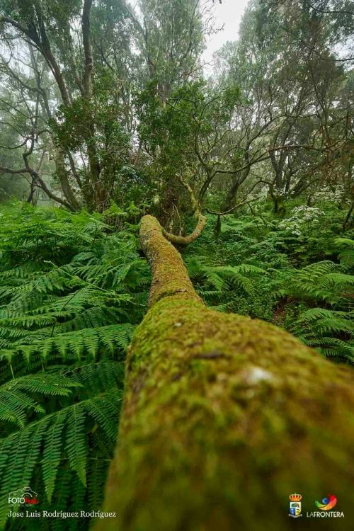 jos luis rodrguez rodrguez l