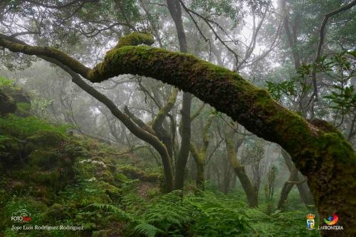 jos luis rodrguez rodrguez l