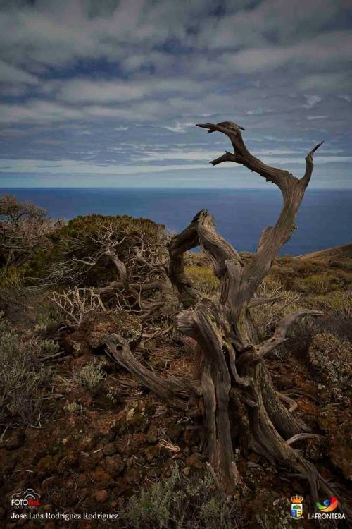 jos luis rodrguez rodrguez l