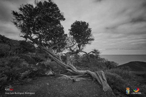 jos luis rodrguez rodrguez l