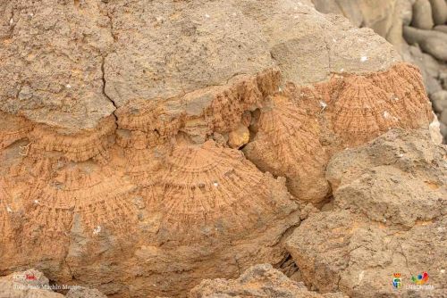 jose juan machin  martin l