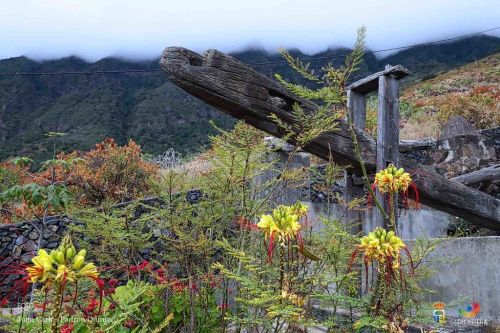 juan carlos padrn quintero l