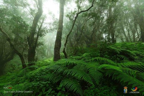 juan carlos padrn quintero l