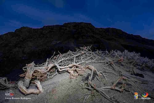 laura romero rodrguez l