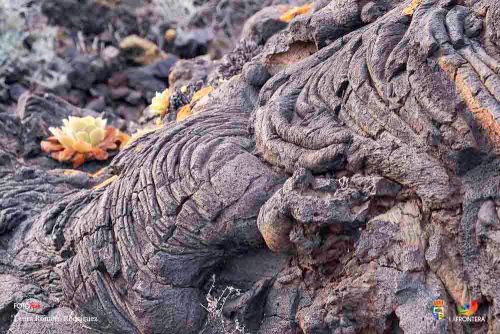 laura romero rodrguez l