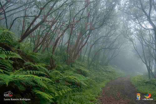 laura romero rodrguez l