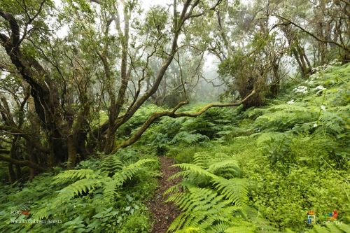 natalia cabrera da costa l