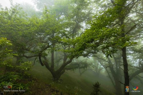 natalia cabrera da costa l