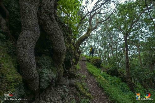 obed garca martnez l