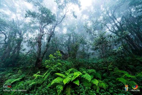 wilmer valdez hinojosa l